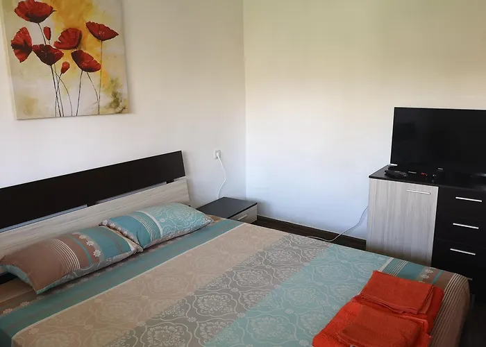 Single Elit 公寓 切尔诺莫雷茨